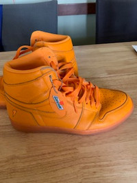 mens NIKE gatorade shoes