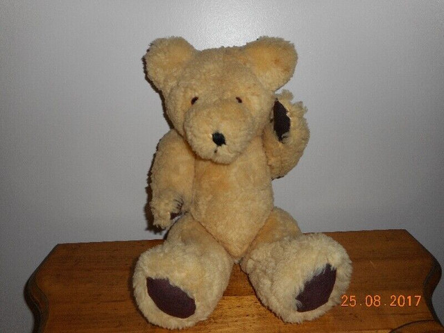 teddy bear in Toys & Games in Abbotsford