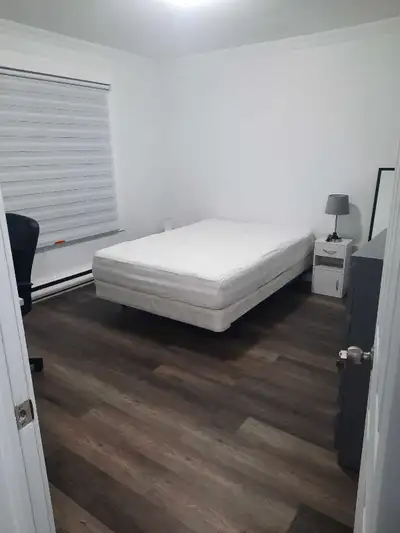Chambre à louer