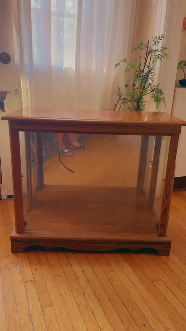 Beautiful Wooden & Glass Display Console Table - Vintage Style in Dining Tables & Sets in City of Toronto - Image 6