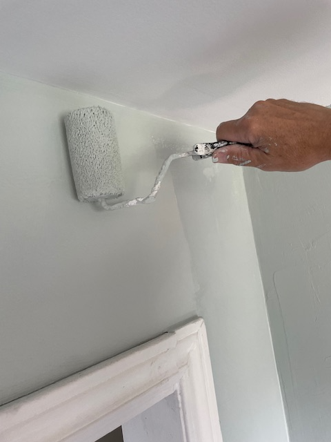 PROFESSIONAL PAINTER553848940780605441
