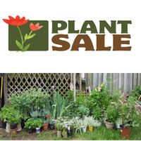 HUGE Plant Sale! PICK YOUR OWN at 41 Haddington Street Cambridge