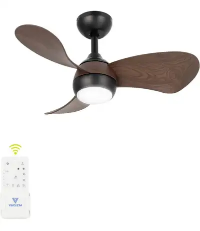 FANSHIAN 30” Ceiling Fan with Light – Brand New!, View more
