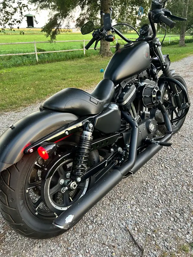 2021 HD Sportster 883 Iron - only 1,140km! in Street, Cruisers & Choppers in Barrie - Image 2