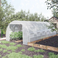 Large Walk-in Greenhouse, 20'x10'x6.6' Tunnel Greenhouse with Zi