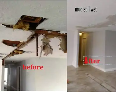Fire food mold remove replace 26 years exp, View more