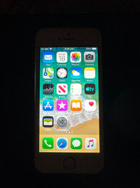 iPhone 5s 16 gig