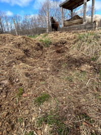 FREE manure/compost for garden