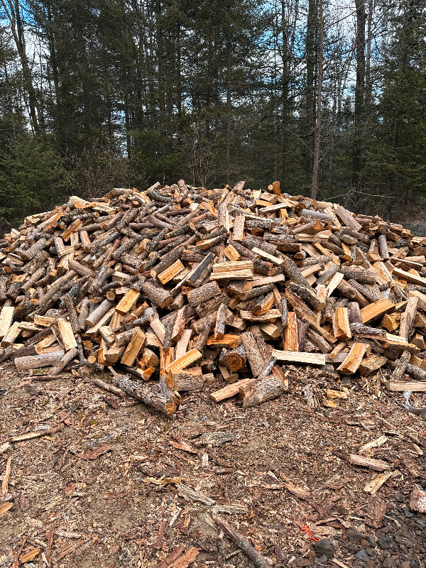 Fire wood for sale in Other in North Bay