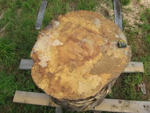 Live edge slabs in Hobbies & Crafts in Ottawa - Image 3