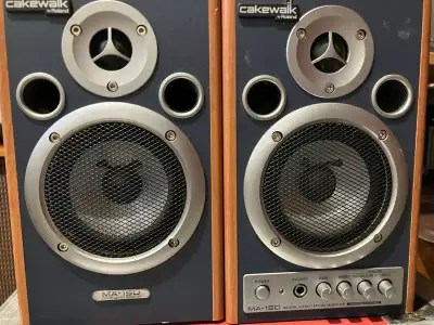 Roland MA15DCW - Powered Monitor Speakers, View more