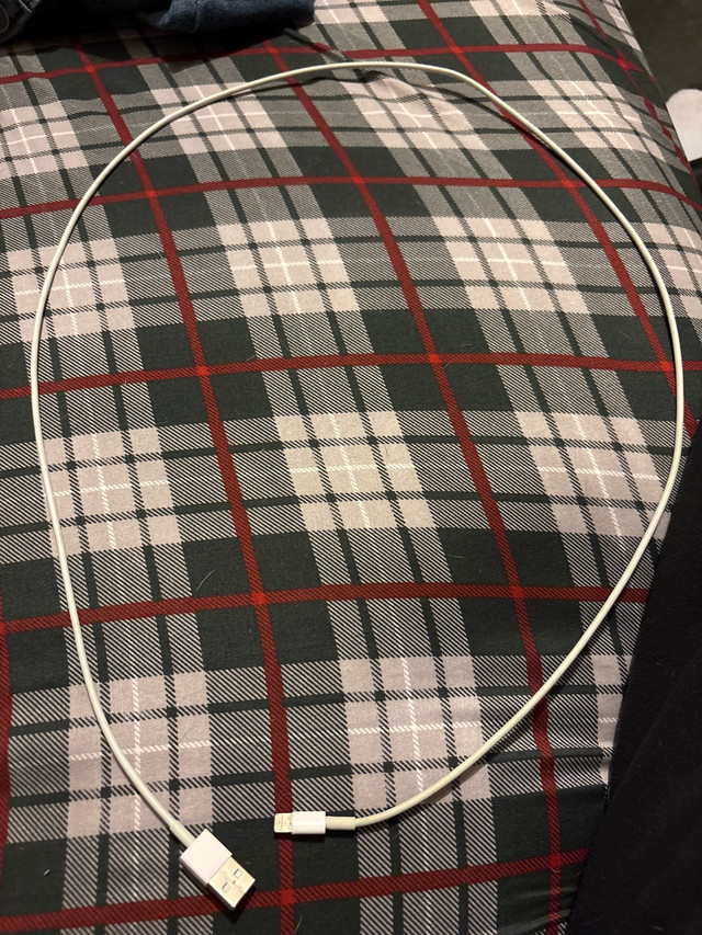 Official iPhone Charger in Cell Phone Accessories in Stratford - Image 2
