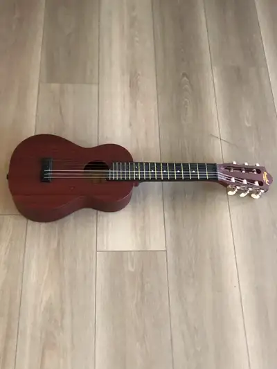 Beaver Creek Acoustic Guitar, View more