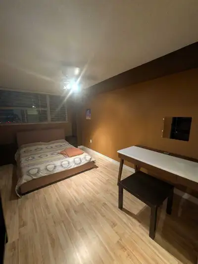 Spacious master bedroom, one washroom with bathtub, large kitchen and living room inside a beautiful...