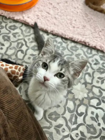 MY NAME IS DAISY, View more