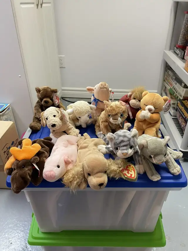 Beanie Babies  in Arts & Collectibles in Kitchener / Waterloo - Image 4