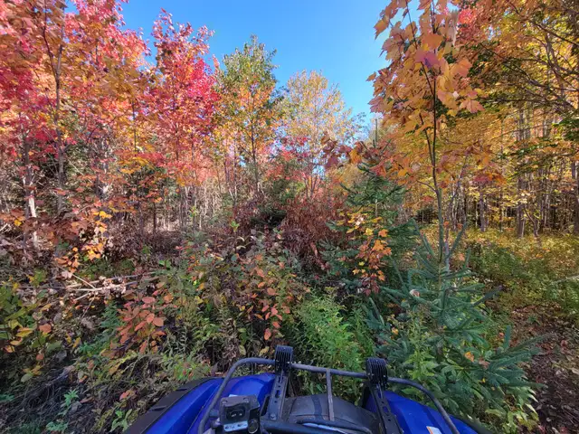 Camping  sites in New Brunswick in Canada - Image 4
