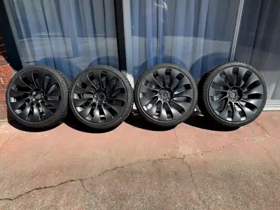 For Sale: $1000 Tesla Überturbine Wheels + Pirelli Winter Sottozero 3 Tires • OEM 20" Überturbine wh...