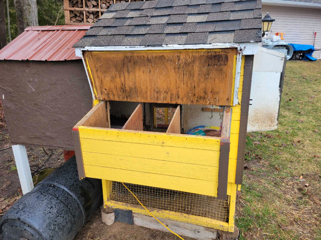 Chicken Coop / Poulailler in Other in Gatineau - Image 4