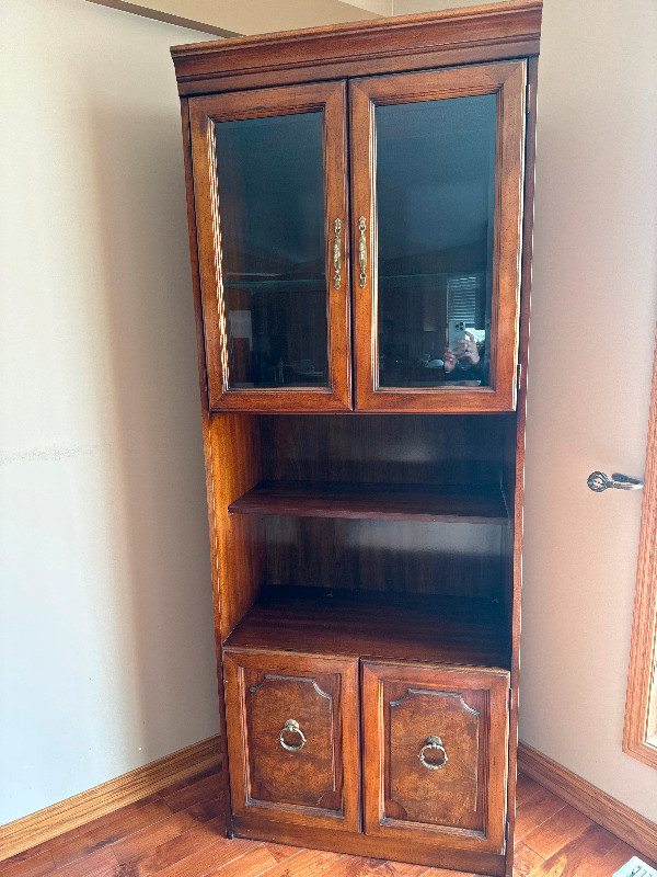 Display cabinet in Hutches & Display Cabinets in Winnipeg