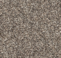 Serene Ambiance - 60 oz. Carpet for just $3.49 a SFT!