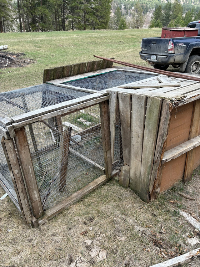 Bird cages free in Birds for Rehoming in Williams Lake - Image 4