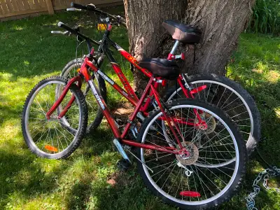 bicycles DX Triump and Sport MTB 18 speed Supercycle, View more