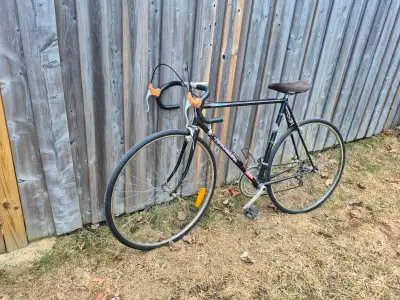 Nakamura Performance road bicycle (23.5" frame), View more