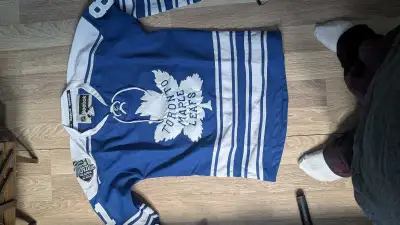 Phil Kessel Toronto Maple leafs Winter classic hockey jersey , View more