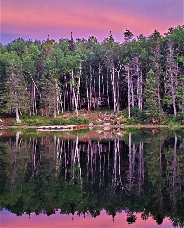 Waterfront Cabin on Home Pond (Gander) for sale Houses for Sale