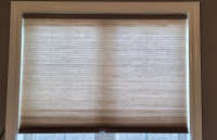 Cordless Cellular Pleated Light filtering Window Shades