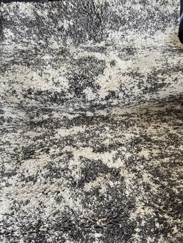 CAM Living Rug in Rugs, Carpets & Runners in Ottawa - Image 2