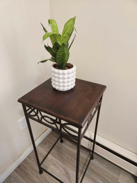Tall Coffee Table/Side Table/Plant Stand - Excellent Condition