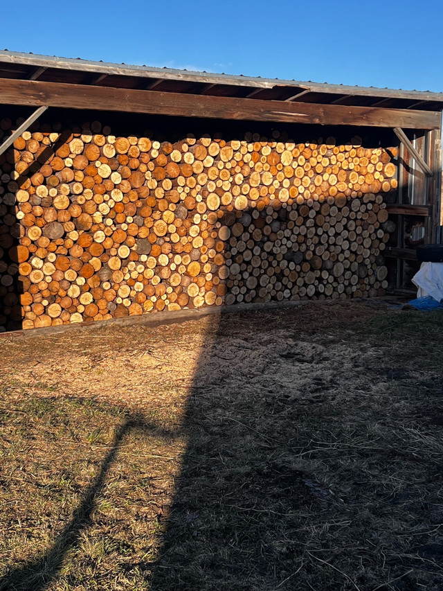 Hammer Firewood in Other in Calgary