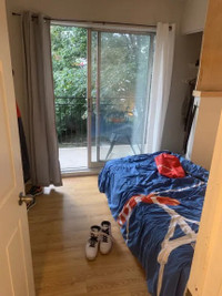 Student Room for rent in Waterloo 