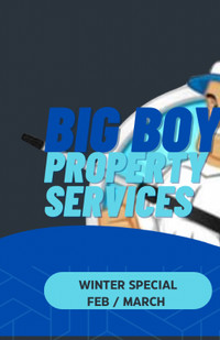 Big Boy Power Washing and Property Services