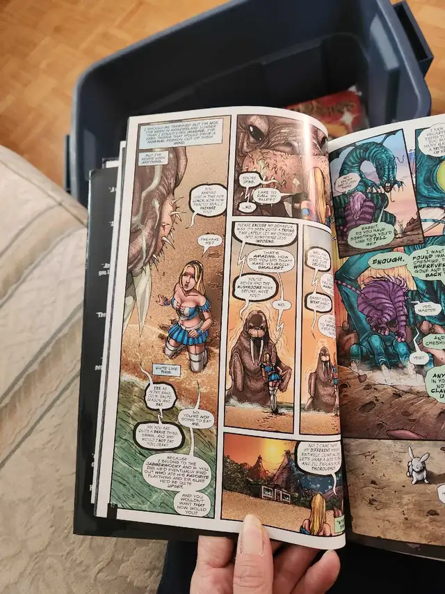 Grimm Fairy Tales Alice in Wonderland in Comics & Graphic Novels in Kingston - Image 3