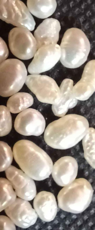Lot of 100 drilled freshwater pearls, in Penticton in Jewellery & Watches in Penticton
