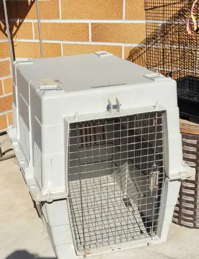 Kennel Express Medium Dog Crate, View more