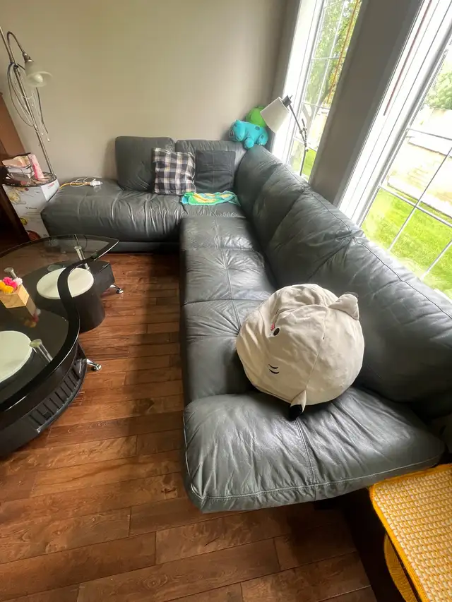 sofa for sale cheap62863285368961121