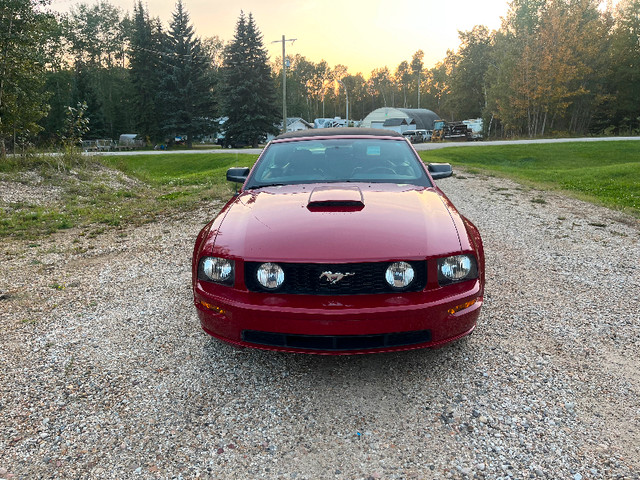 2008 ford mustang convertible gt in Cars & Trucks in St. Albert - Image 2