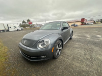 VW beetle 2.0L Turbo Fender Edition Manual Summer Driven 