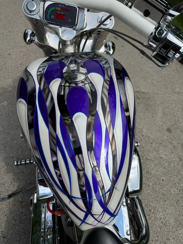Titan Sidewinder Sturgis Edition in Street, Cruisers & Choppers in Winnipeg - Image 8