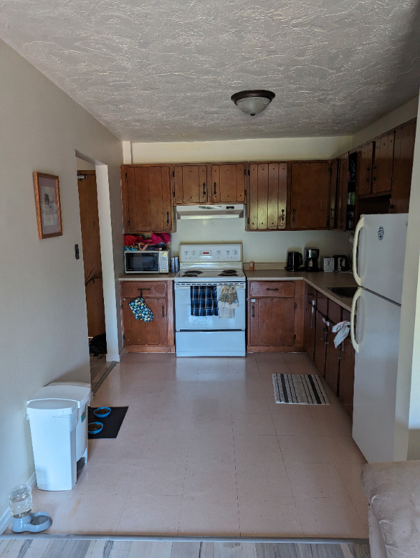 Sept 1st Cat friendly 2 bedroom Long Term Rentals Miramichi Kijiji