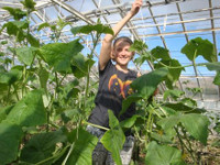 Organic gardening and forestry activities in Iceland