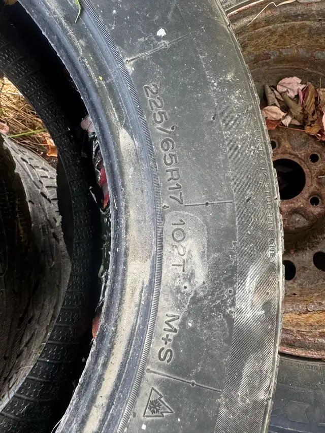 winter tires 8 4 on rims  in Tires & Rims in City of Halifax - Image 6