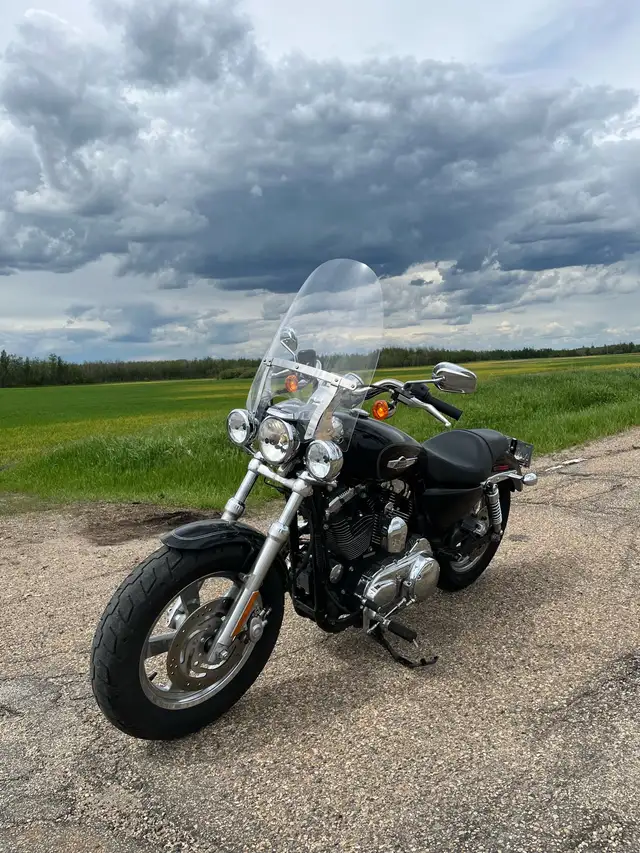  2012 Harley Davidson Sportster XL 1200 Custom  in Street, Cruisers & Choppers in Edmonton - Image 5