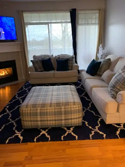 Love seat and sofa for free and the furtom too