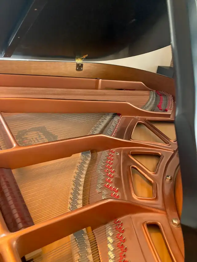 Young Chang Grand Piano PG-175, 5' 9'' Exceptional597784670786693121