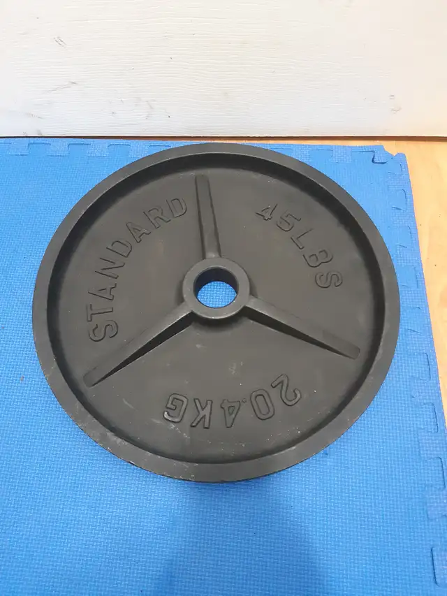 Olympic weight plates in Exercise Equipment in Delta/Surrey/Langley - Image 6